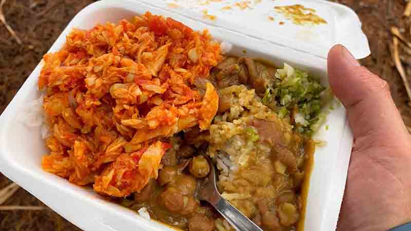 <p>Plat traditionnel indien, Normanville</p>